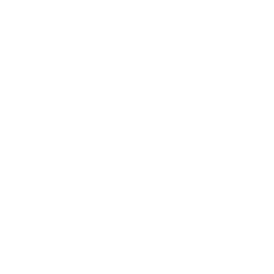 BravoGNP logo