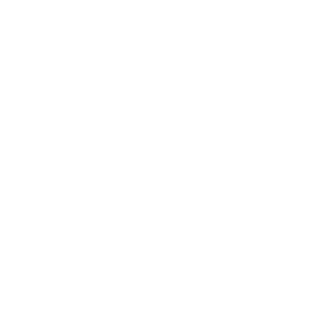 Deluz logo